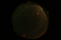ASC_20070223_025906UT_s.png