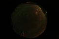 ASC_20070223_025936UT_s.png