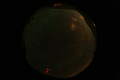 ASC_20070223_030006UT_s.png