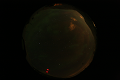 ASC_20070223_030036UT_s.png