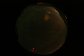 ASC_20070223_030306UT_s.png