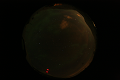 ASC_20070223_030406UT_s.png
