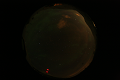 ASC_20070223_030506UT_s.png