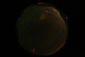 ASC_20070223_030536UT_s.png