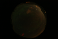 ASC_20070223_030606UT_s.png