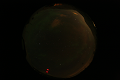 ASC_20070223_030736UT_s.png