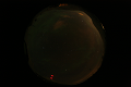ASC_20070223_030836UT_s.png