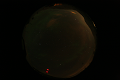 ASC_20070223_030936UT_s.png