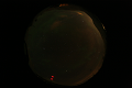 ASC_20070223_031006UT_s.png