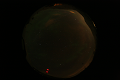 ASC_20070223_031036UT_s.png