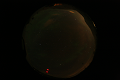 ASC_20070223_031106UT_s.png
