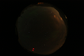 ASC_20070223_033536UT_s.png