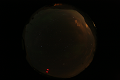 ASC_20070223_033706UT_s.png