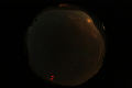 ASC_20070223_034436UT_s.png