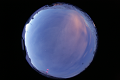 ASC_20070223_044106UT_s.png