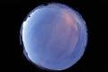 ASC_20070223_044236UT_s.png