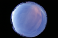 ASC_20070223_044436UT_s.png