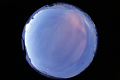 ASC_20070223_044506UT_s.png