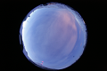 ASC_20070223_044536UT_s.png