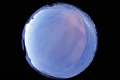 ASC_20070223_044706UT_s.png