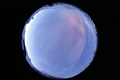 ASC_20070223_044806UT_s.png
