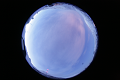 ASC_20070223_045006UT_s.png