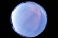 ASC_20070223_045206UT_s.png