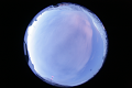 ASC_20070223_045236UT_s.png