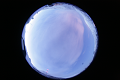ASC_20070223_045306UT_s.png
