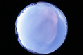 ASC_20070223_045406UT_s.png