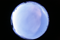 ASC_20070223_045636UT_s.png