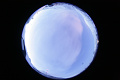 ASC_20070223_045706UT_s.png