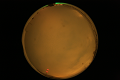 ASC_20071012_221422UT_s.png