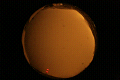 ASC_20071109_201212UT_s.png