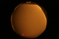 ASC_20071109_203242UT_s.png