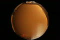 ASC_20071109_203412UT_s.png