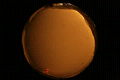 ASC_20071109_203512UT_s.png