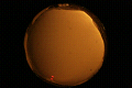 ASC_20071109_203610UT_s.png