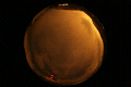 ASC_20071110_024712UT_s.png