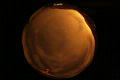 ASC_20071110_025312UT_s.png