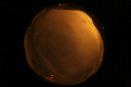 ASC_20071110_033142UT_s.png