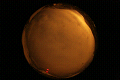 ASC_20071110_040612UT_s.png