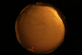 ASC_20071110_040842UT_s.png