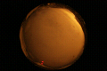 ASC_20071110_041142UT_s.png