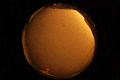 ASC_20071110_043412UT_s.png