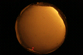 ASC_20071110_043612UT_s.png