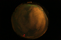 ASC_20071110_204024UT_s.png