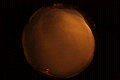 ASC_20071111_040154UT_s.png