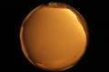 ASC_20071013_175050UT_s.png