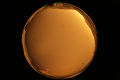 ASC_20071013_175350UT_s.png